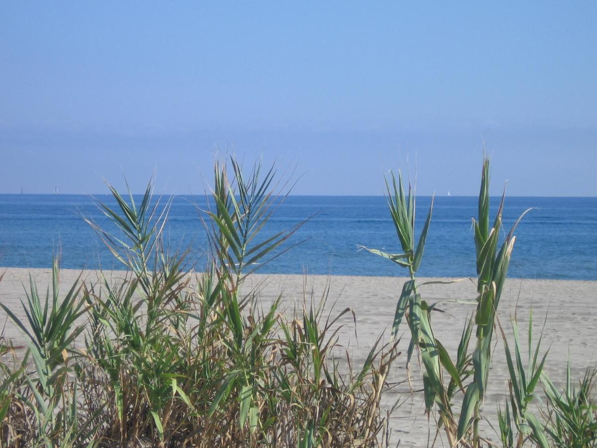 Studio Vue Sur La Mer Au 6Eme Et Dernier Etage Canet-en-Roussillon Eksteriør bilde